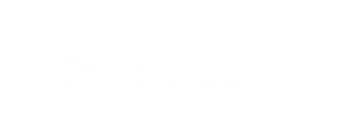 Puzzle Financial
